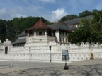 Tooth-Temple.JPG (219 KB)